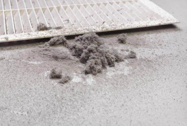 Best Ductwork Cleaning Services  in Willcox, AZ