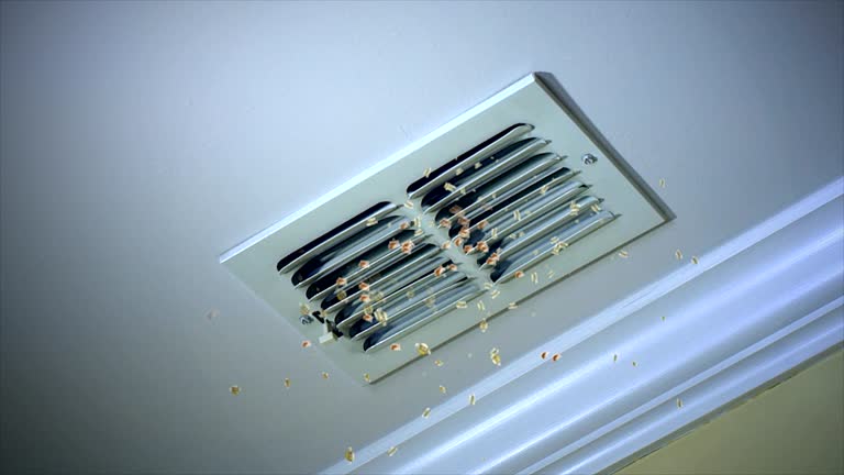 Best HVAC System Cleaning  in Willcox, AZ