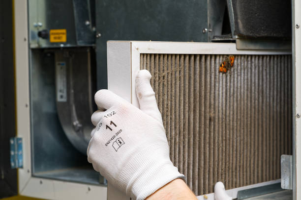 Best Duct Cleaning for Offices  in Willcox, AZ
