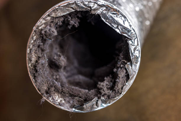 Best Residential Air Duct Cleaning  in Willcox, AZ