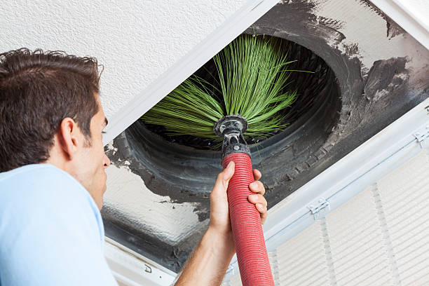 Best Best Air Duct Cleaning Company  in Willcox, AZ